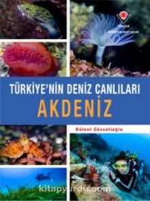 Akdeniz - Türkiye'nin Deniz Canlıları - Bülent Gözcelioğlu