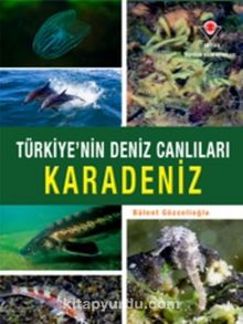 Karadeniz - Türkiye'nin Deniz Canlıları - Bülent Gözcelioğlu