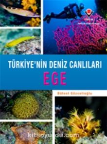 Ege - Türkiye'nin Deniz Canlıları - Bülent Gözcelioğlu