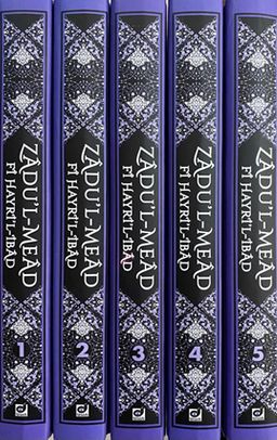 Zadu'l-Mead Fi Hayri'l-İbad (5 Cilt Takım)