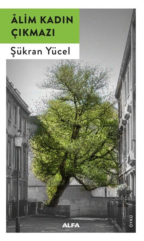 Âlim Kadın Çıkmazı