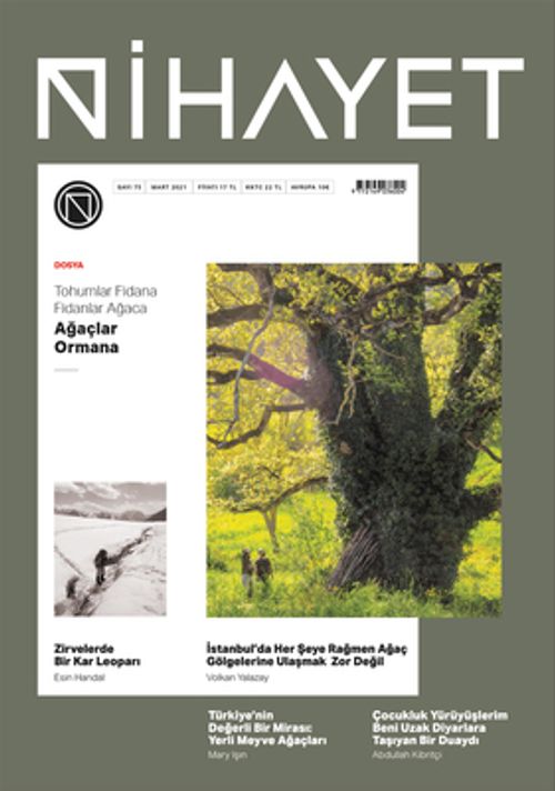 Nihayet Dergisi Sayı:75 Mart-Nisan 2021