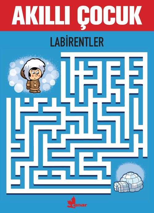 Akıllı Çocuk / Labirentler