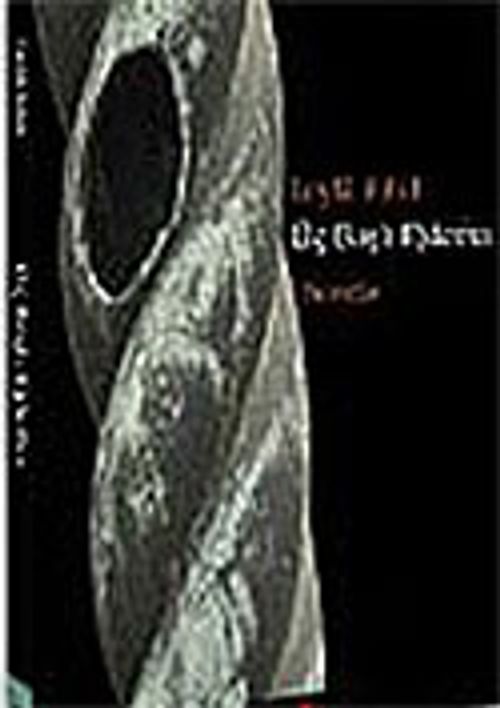 Üç Başlı Ejderha Novella