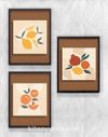 Full Frame Duvar Sanatları - Soyut Geometrik Meyveler - Üçlü Set (FF-DS005)