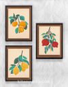 Full Frame Duvar Sanatları - Soyut Natürmort Dalında Meyveler - Üçlü Set (FF-DS007)