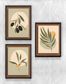 Full Frame Duvar Sanatları - Soyut Natürmort Zeytin Yeşili - Üçlü Set (FF-DS008)