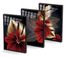 Full Frame Duvar Sanatları - VitrayObje Küçük DD - Monstera Kırmızılı Altın - Üçlü Set (FF-DSC073)</span>