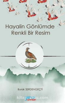 Hayalin Gönlümde Renkli Bir Resim - Burak Serdengeçti