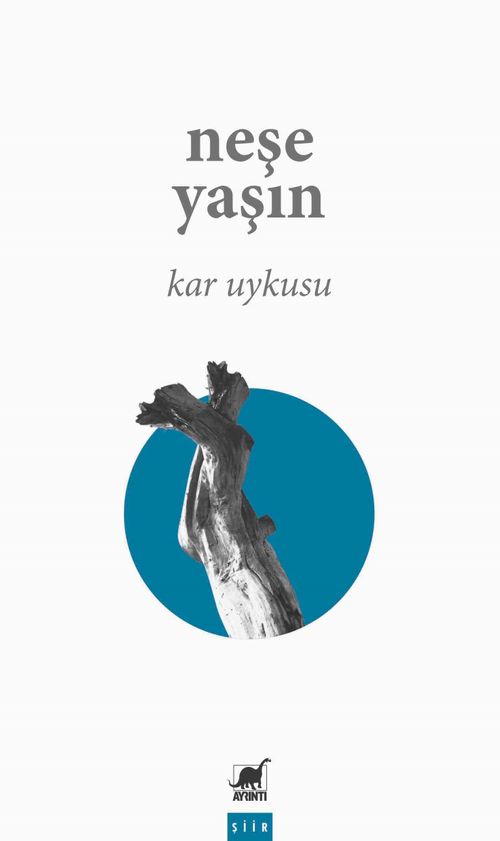 Kar Uykusu 