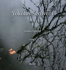 Yokoluş Serüveni