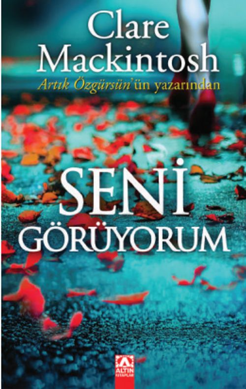 Seni Görüyorum