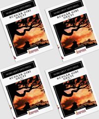 Rüzgar Gibi Geçti (4 Cilt)