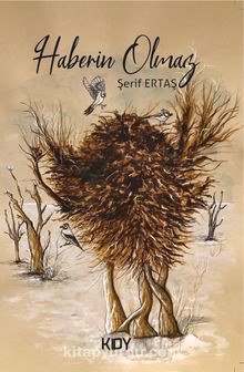 Haberin Olmaz - Şerif Ertaş