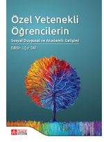 Özel Yetenekli Öğrencilerin Sosyal Duygusal ve Akademik Gelişimi