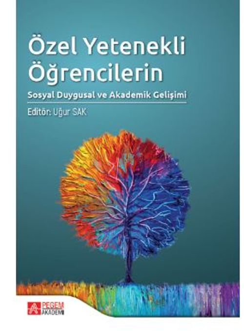 Özel Yetenekli Öğrencilerin Sosyal Duygusal ve Akademik Gelişimi