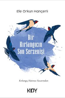 Bir Kırlangıcın Son Serzenişi - Efe Orkun Hançerli