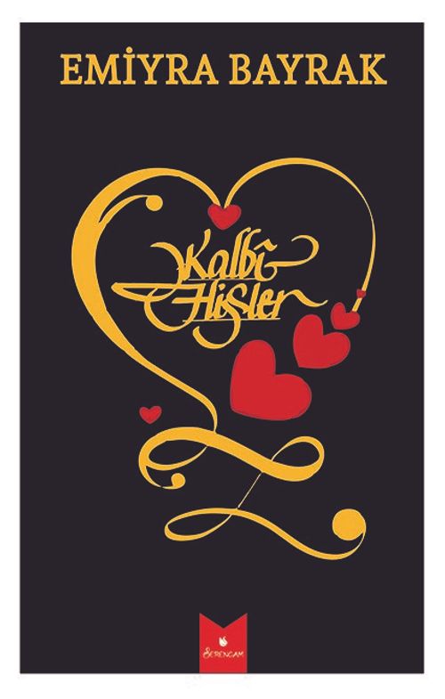 Kalbi Hisler