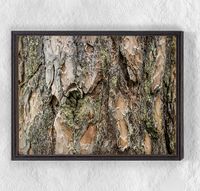 Full Frame Duvar Sanatları - Ahşap Desenler - Ağaç Kabuğu Yosunlu (FF-DS034)