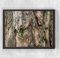 Full Frame Duvar Sanatları - Ahşap Desenler - Ağaç Kabuğu Yosunlu (FF-DS034)