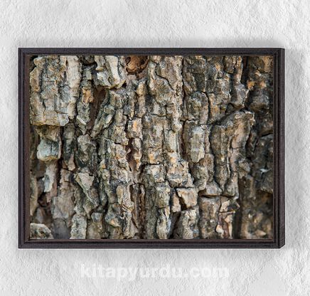 Full Frame Duvar Sanatları - Ahşap Desenler - Ağaç Kabuğu (FF-DS036)