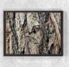 Full Frame Duvar Sanatları - Ahşap Desenler - Ağaç Kabuğu Çam (FF-DS037)