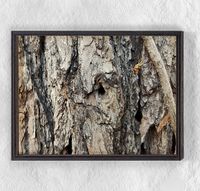 Full Frame Duvar Sanatları - Ahşap Desenler - Ağaç Kabuğu Çam (FF-DS037)