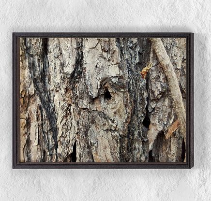Full Frame Duvar Sanatları - Ahşap Desenler - Ağaç Kabuğu Çam (FF-DS037)