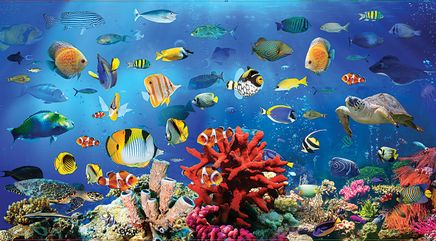 Panaromik Resif 4500 Parça Ahşap Puzzle (HV101-MMMMD)