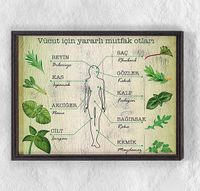 Full Frame Duvar Sanatları - Yararlı Otlar ve Vücut Anatomisi (FF-DS093)