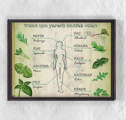 Full Frame Duvar Sanatları - Yararlı Otlar ve Vücut Anatomisi (FF-DS093)
