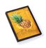 Full Frame Duvar Sanatları - Ananas Suyu (FF-DS114)</span>