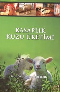 Kasaplık Kuzu Üretimi & Kuzu Besiciliği