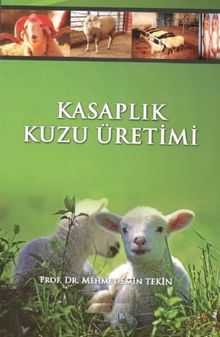 Kasaplık Kuzu Üretimi & Kuzu Besiciliği