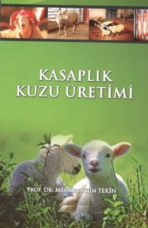 Kasaplık Kuzu Üretimi & Kuzu Besiciliği