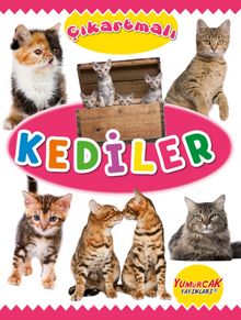 Çıkartmalı Kediler - Kolektif