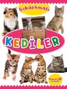 Çıkartmalı Kediler