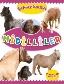 Çıkartmalı Midilliler - Kolektif