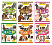 Çıkartmalı Hayvanlar Serisi (6 Kitap)