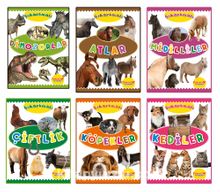 Çıkartmalı Hayvanlar Serisi (6 Kitap) - Kolektif