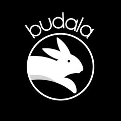 BUDALA KİTAP