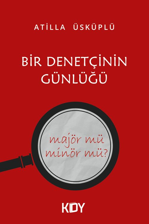 Bir Denetçinin Günlüğü
