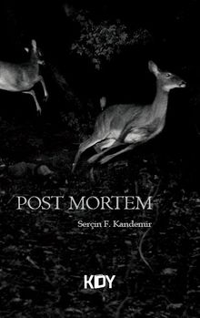 Post Mortem 