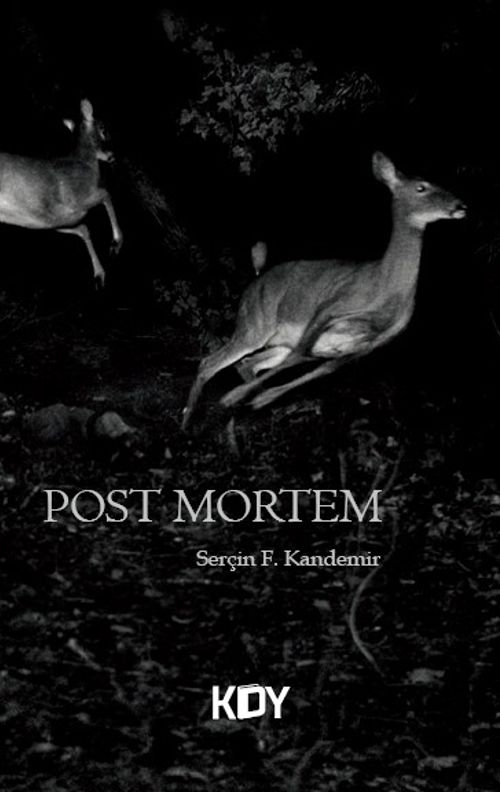 Post Mortem 