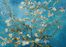 Full Frame pratiCanvas Tablo - Vincent van Gogh - Almond Blossom (FF-PCŞ327)</span>