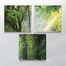 Full Frame Duvar Sanatları - CanvasWall Kare - Ağaçlar - Üçlü (FF-W158)