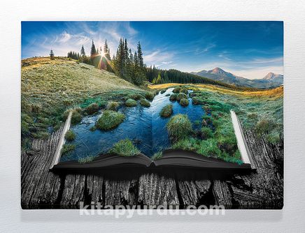 Full Frame Duvar Sanatları - CanvasWall DD - Kitap Doğa (FF-W161)