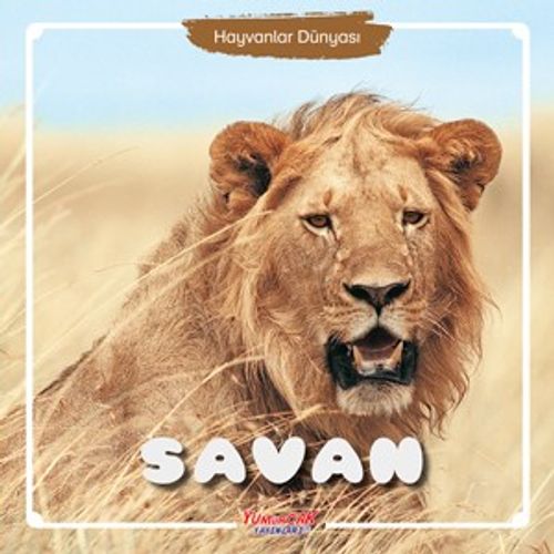 Savan / Hayvanlar Dünyası 