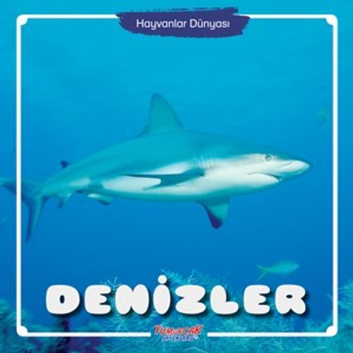 Denizler / Hayvanlar Dünyası 