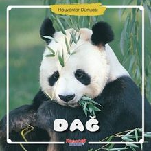 Dağ / Hayvanlar Dünyası 